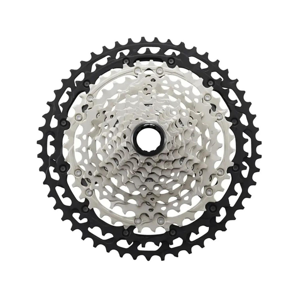 ICSM8100051