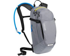 Ruksak CamelBak MULE 12l sa mjehurom Sivi