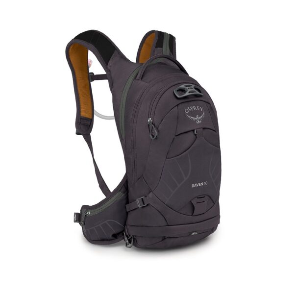 Osprey Raven 10 (Space Travel Grey