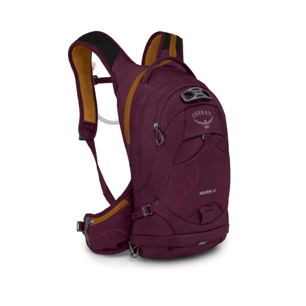 Osprey Raven 10 (Aprium Purple